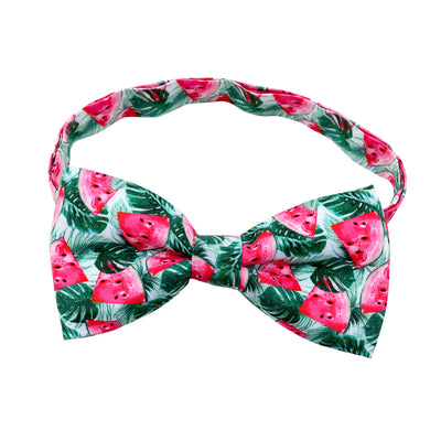 Moño Decorativo Cactus para Perros y Gatos - Accesorios de Moda para Mascotas - Image 8