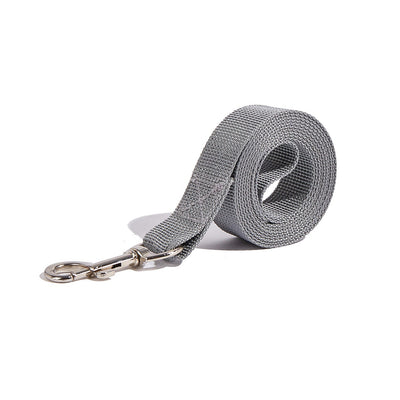 Correa Portátil con Asidero para Perros - Collar de Paseo Seguro - Image 9