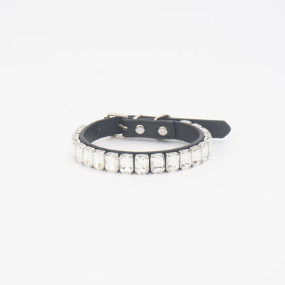 Collar de Poliuretano para Perro y Gato - Image 15