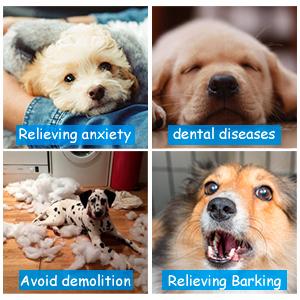 Juguetes de Dentición para Cachorros - Limpieza 360° y Alivio del Dolor - Image 10