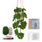 Autumn Fragrance Verde Basket Series Summary
