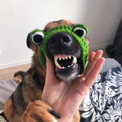 Gorro de Lana Tejido para Mascotas - Diadema Rana - Image 13