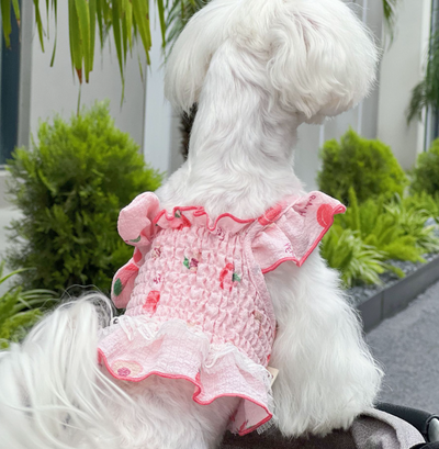 Falda Durazno con Doble Encaje - Image 7