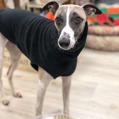 Abrigo Polar de Cuello Alto para Perros Pequeños - Greyhound Italiano y Whippet - Image 2