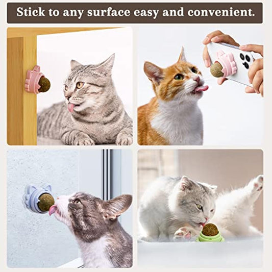 Pelotas de Catnip Adhesivas para Pared - Juguetes Dentales para Gatos - Image 2