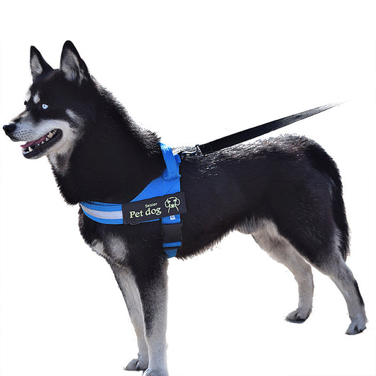 Arnés de Paseo para Perros Medianos y Grandes - Chaleco de Control Seguro - Image 5
