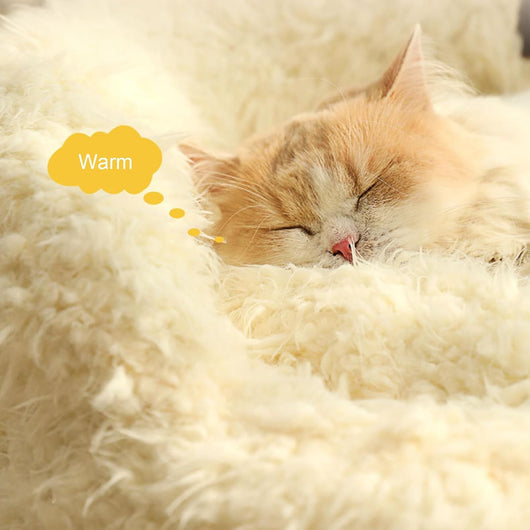 Cama Térmica para Mascotas Pequeñas y Medianas con Almohadillas Desmontables - Image 10