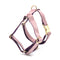 Rosado Morado Thoracodorsal L