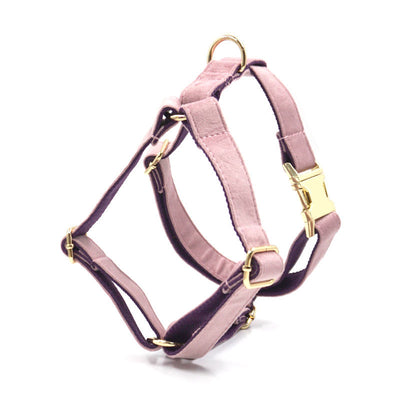 Collar y Correa para Perro en Terciopelo Verde - Image 9