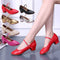 Zapatos de Danza Suave para Práctica y Entrenamiento