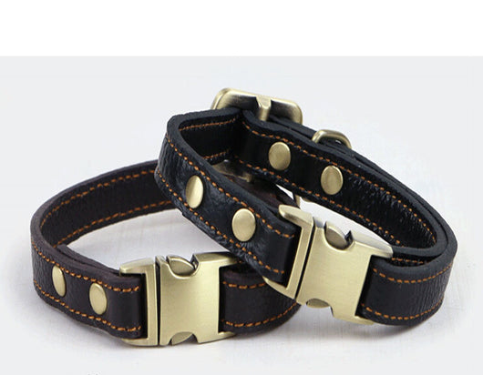 Collar de Cuero para Perros Pequeños y Medianos - Image 4