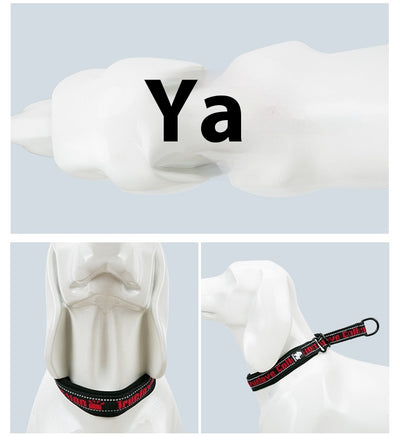 Collar Ajustable para Perro Truelove con Tela de Buceo Reflectante - Image 15