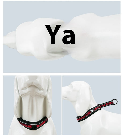 Collar Ajustable para Perro Truelove con Tela de Buceo Reflectante - Image 15