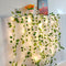 Watermelon Leaves Vine European Standard