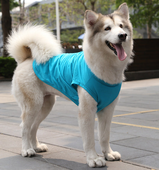 Chaleco y Camiseta para Perro XS-5XL | Ropa Fresca para Perros Pequeños - Image 19