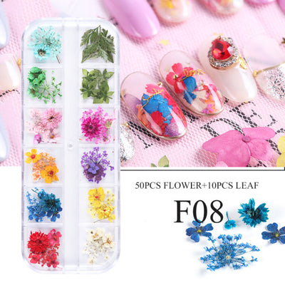 Kit de Flores Secas para Decoración de Uñas - 12 Compartimentos con Margaritas y Flores Silvestres Reales - Image 6
