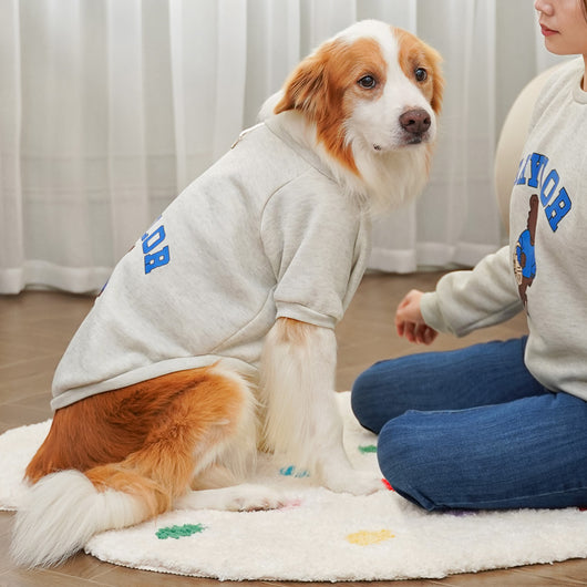 Large dog wearing a teal fleece-lined sweatshirt with 'BAYLOR' text and a bear graphic on the back. - Image 23