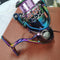 SG 3000