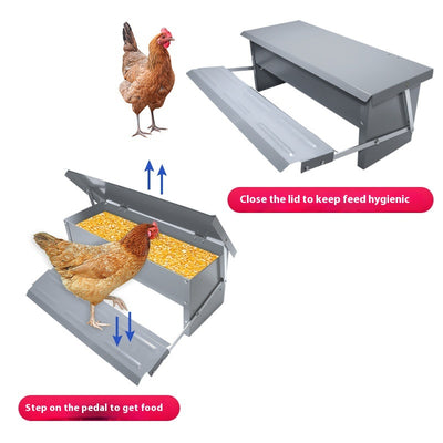 Comedero Automático con Pedal para Aves de Corral - Gallinas, Patos y Gansos - Image 3