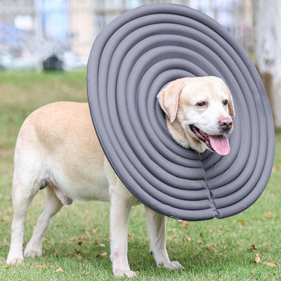 Collar Protector Antipicaduras para Mascotas - Verano Seguro - Image 13