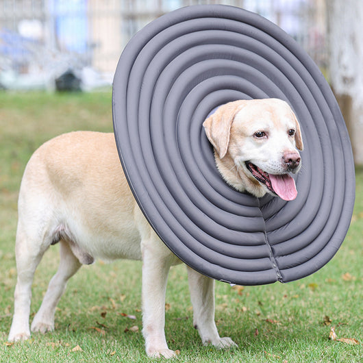 Collar Protector Antipicaduras para Mascotas - Verano Seguro - Image 13