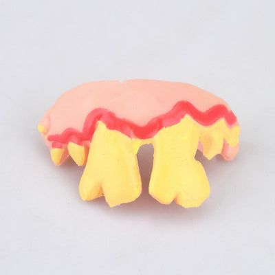 Dientes Postizos Divertidos para Halloween - Accesorios de Disfraz Cómicos - Image 7