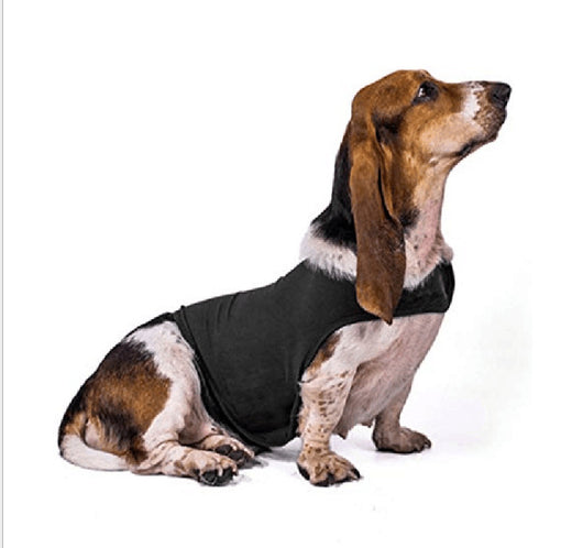 Chaleco Calmante para Mascotas - Ropa Terapéutica Antiansíedad para Gatos y Perros - Image 23