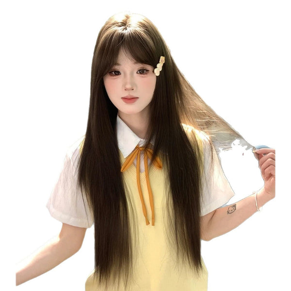 Peluca Larga Recta Reparación Total - Cobertura Completa Cabello Natural