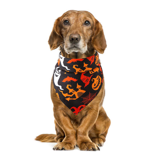 Toalla Absorbente para Mascotas Halloween - Image 35