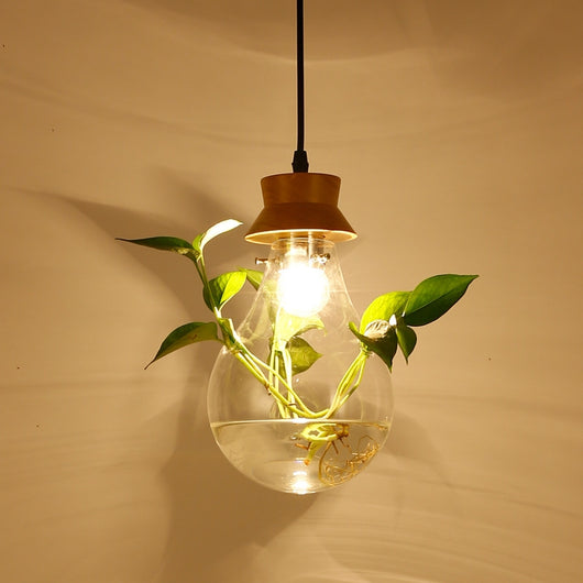 Lámpara Acuario de Cristal para Sala - Decoración Moderna con Plantas Acuáticas - Image 16