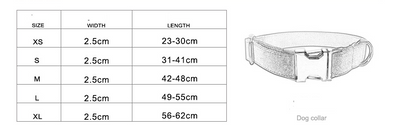 Collar para Perro de Calidad Premium - Image 6
