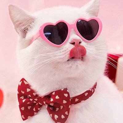 Gafas de Sol para Mascotas y Muñecas - Accesorios Divertidos