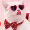 Gafas de Sol para Mascotas y Muñecas - Accesorios Divertidos
