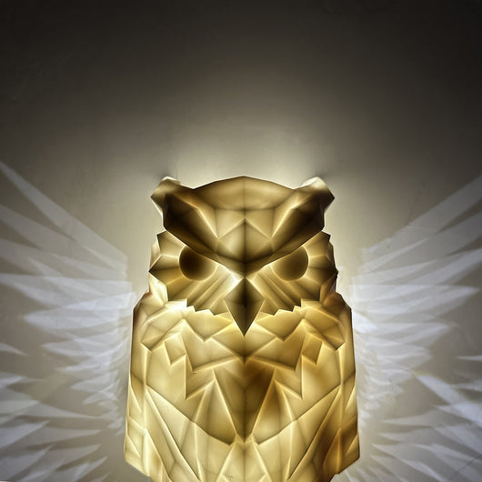 Lámpara Nocturna Decorativa Búho y Águila - Luz de Pared Moldeada - Image 3