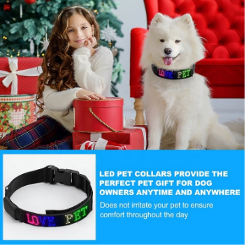 Collar Inteligente Antipérdida para Perros con GPS Recargable - Image 4