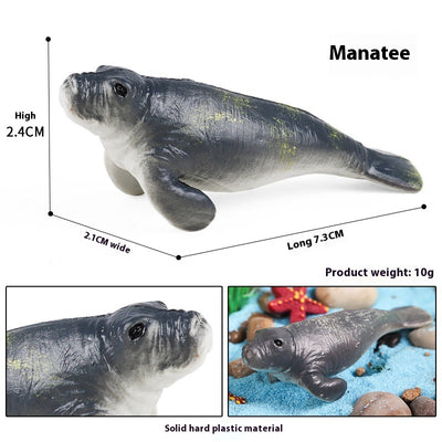 Juego Educativo de Animales Marinos Realistas para Niños - Image 40