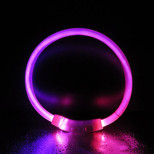 Collar Luminoso Antiextravío para Perros Grandes - Seguridad Visible - Image 5