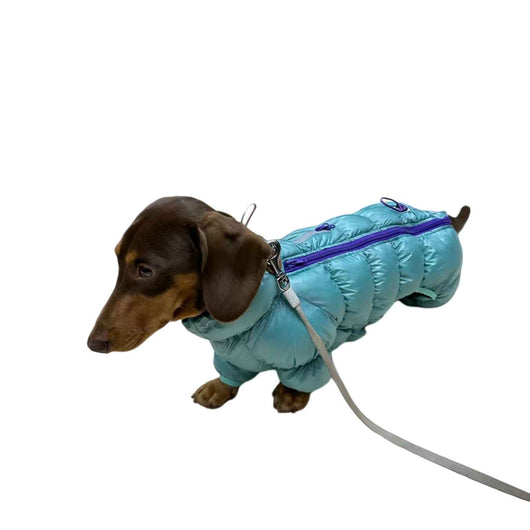 Ropa Térmica Acolchada para Mascotas en Otoño e Invierno - Image 8
