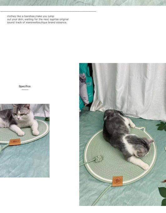 Nido de Ratán para Gatos Resistente sin Pelusa - Image 25