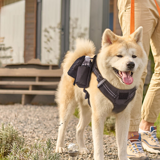 Arnés de Paseo para Perros Cómodo e Impermeable - Image 8