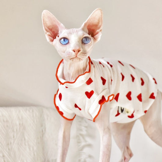 Chaleco Fresco sin Mangas para Gatos - Ropa de Verano - Image 7
