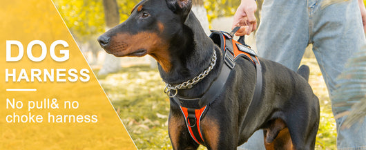 Arnés Pectoral para Perro con Correa de Control - Image 16