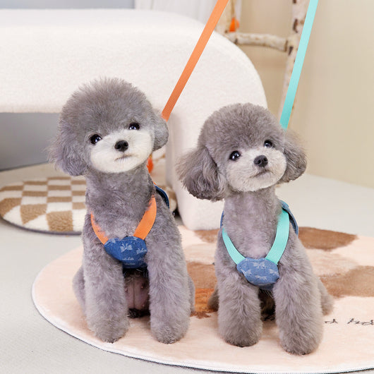 Enterizo Denim para Mascotas con Moño Trasero - Image 3