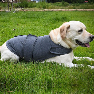 Chaleco Calmante para Perros - Prenda de Compresión contra la Ansiedad - Image 5
