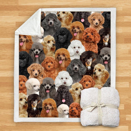 Manta de Franela Estampada para Perros de Diseño Moderno - Image 15
