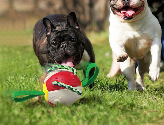 Red and green interactive dog football soccer ball with rope and fabric tabs for training and outdoor play. - Image 6