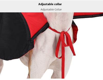 Disfraz de Vampiro para Mascotas con Capa y Sombrero - Image 8