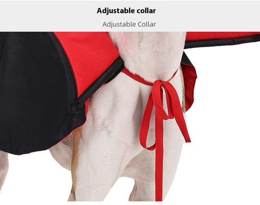 Disfraz de Vampiro para Mascotas con Capa y Sombrero - Image 8