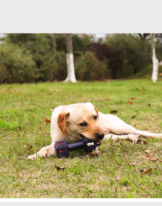 Juguete Mordedor Resistente para Perros Grandes - Limpieza Dental y Entretenimiento - Image 22