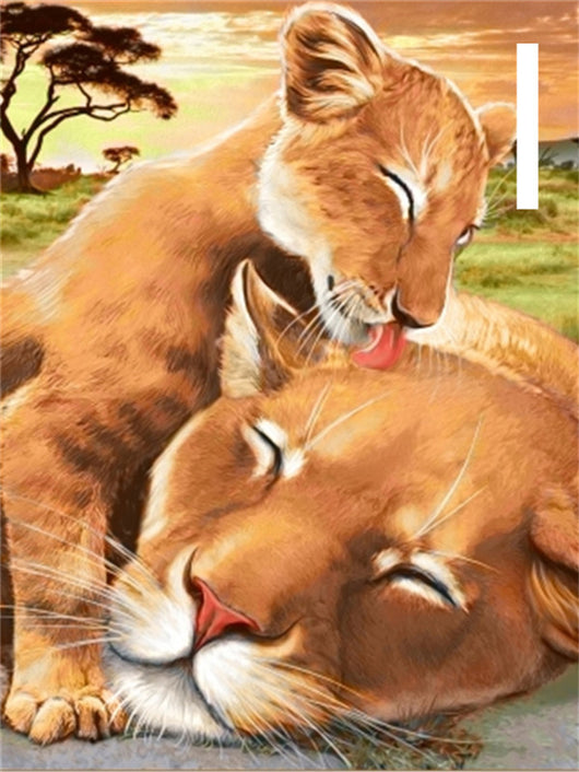 Pintura de Diamantes 5D - Bordado de León Animal - Image 11